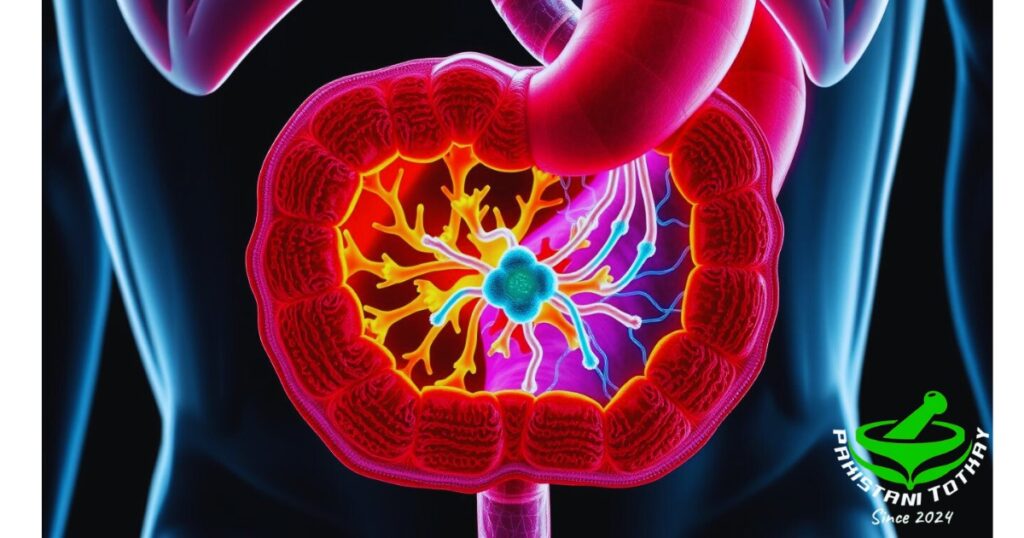 What is the Role of Acid in our Stomach​