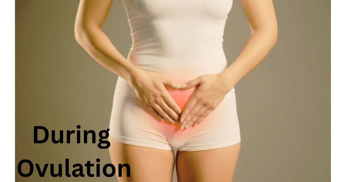 Do you Gain Weight During Ovulation