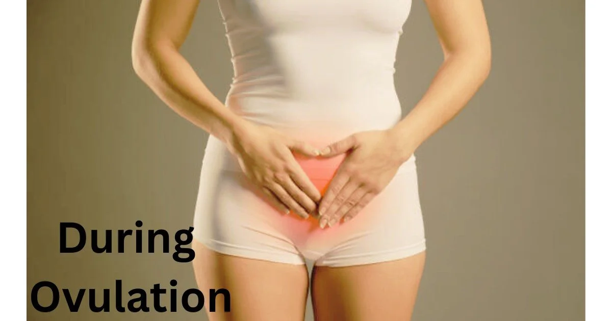 Do you Gain Weight During Ovulation